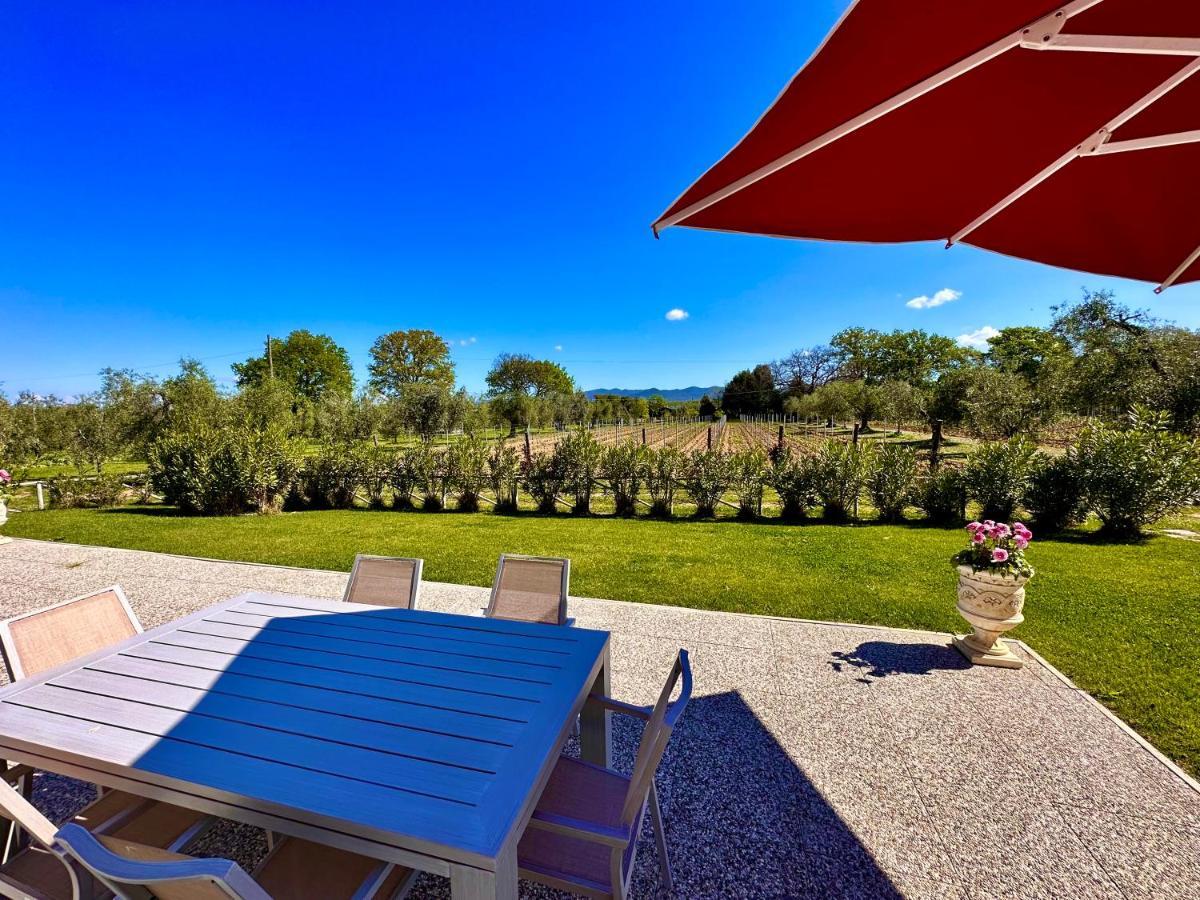 Agriturismo Re Di Fiori Donoratico Eksteriør bilde