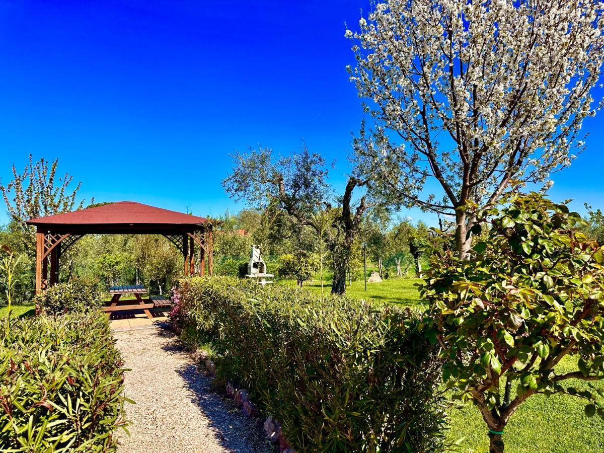 Agriturismo Re Di Fiori Donoratico Eksteriør bilde
