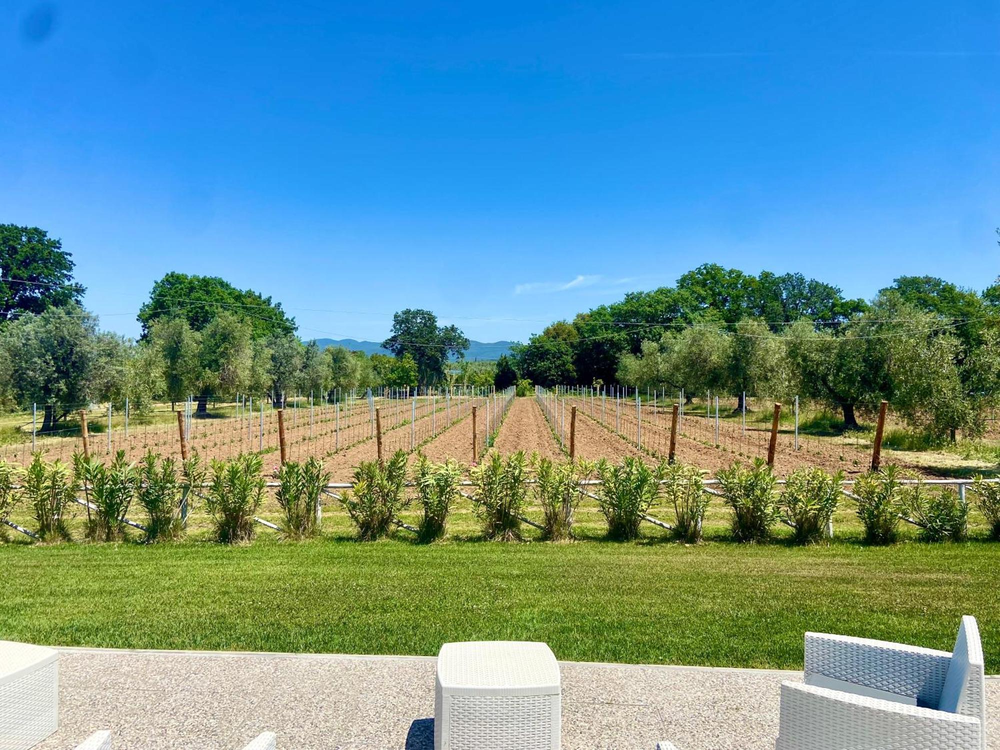 Agriturismo Re Di Fiori Donoratico Eksteriør bilde