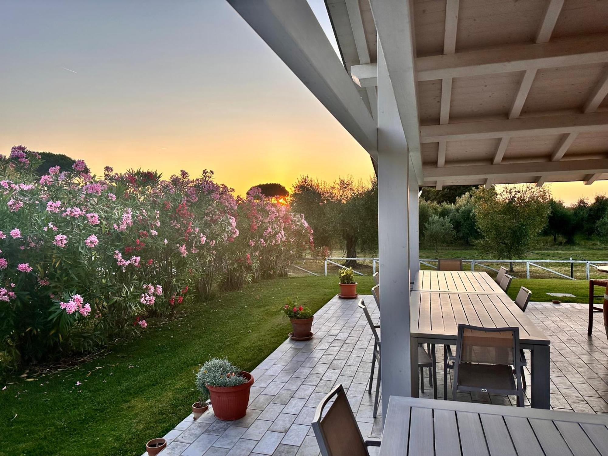 Agriturismo Re Di Fiori Donoratico Eksteriør bilde