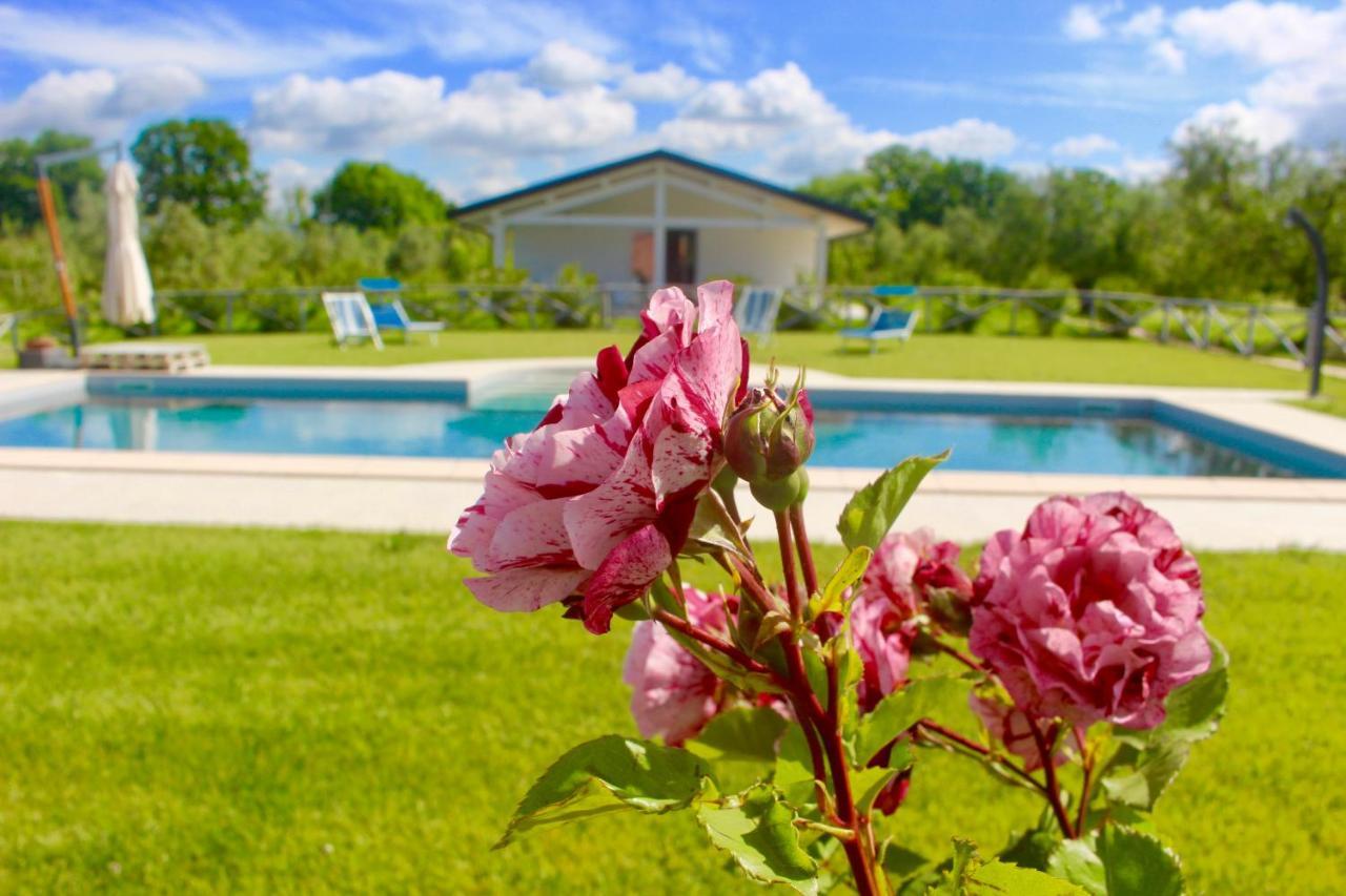 Agriturismo Re Di Fiori Donoratico Eksteriør bilde