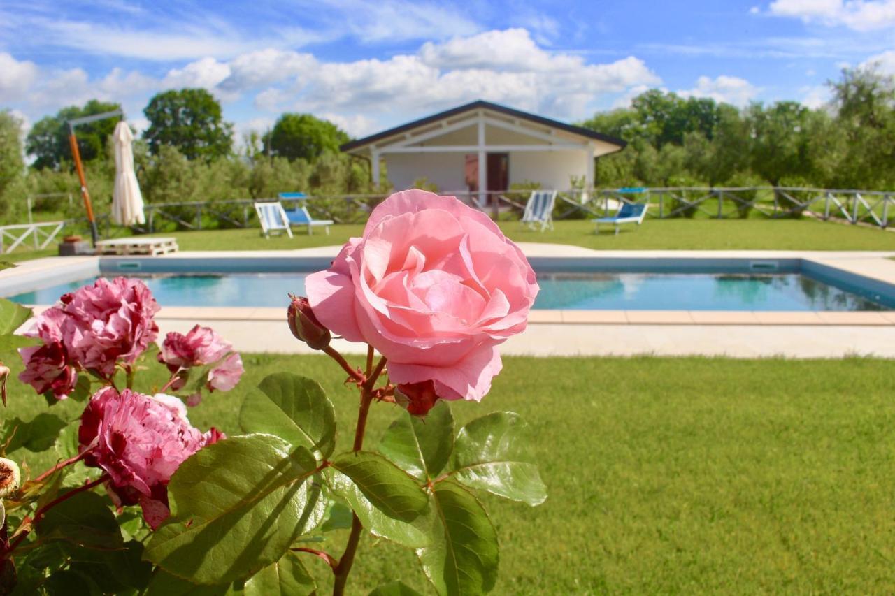 Agriturismo Re Di Fiori Donoratico Eksteriør bilde